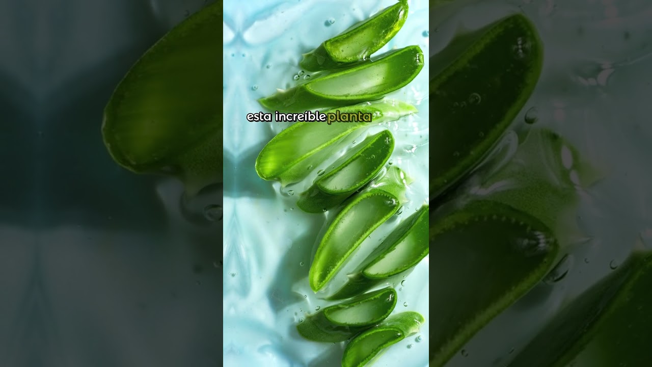 aloe vera para llagas en la boca