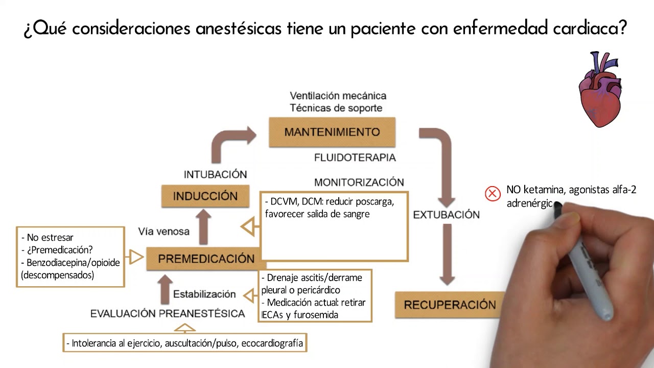anestesia dental para pacientes con problemas cardíacos