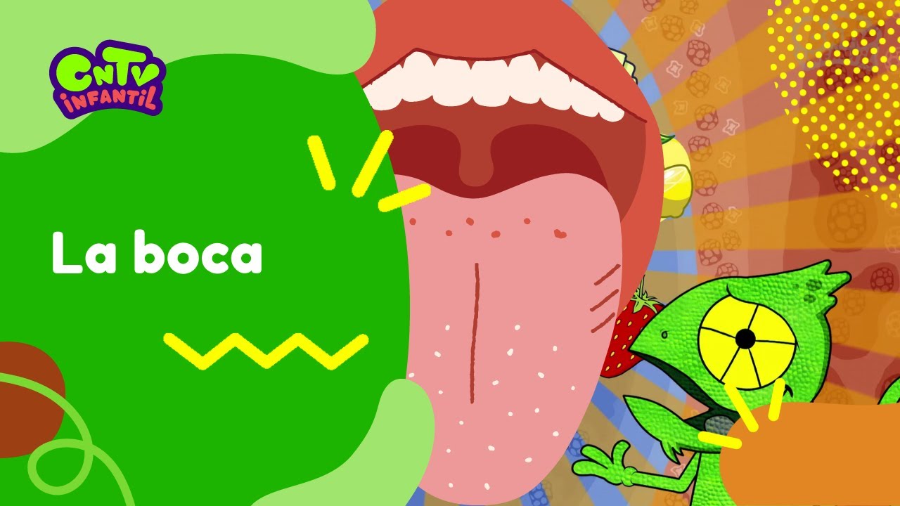 partes de la boca para niños