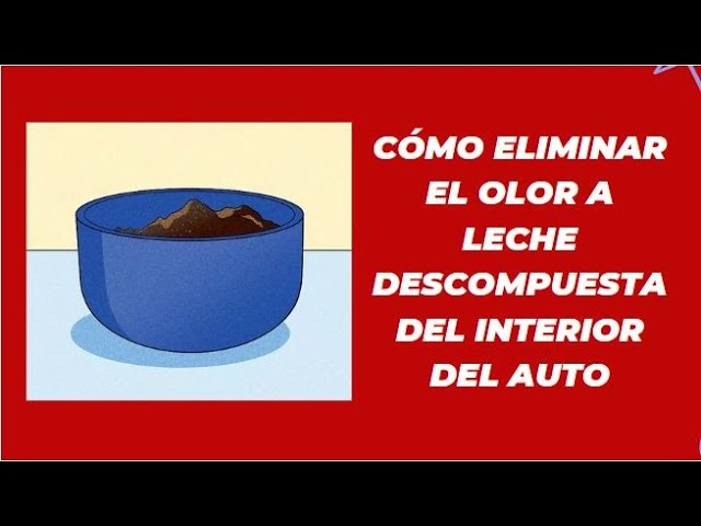 como quitar olor a leche podrida