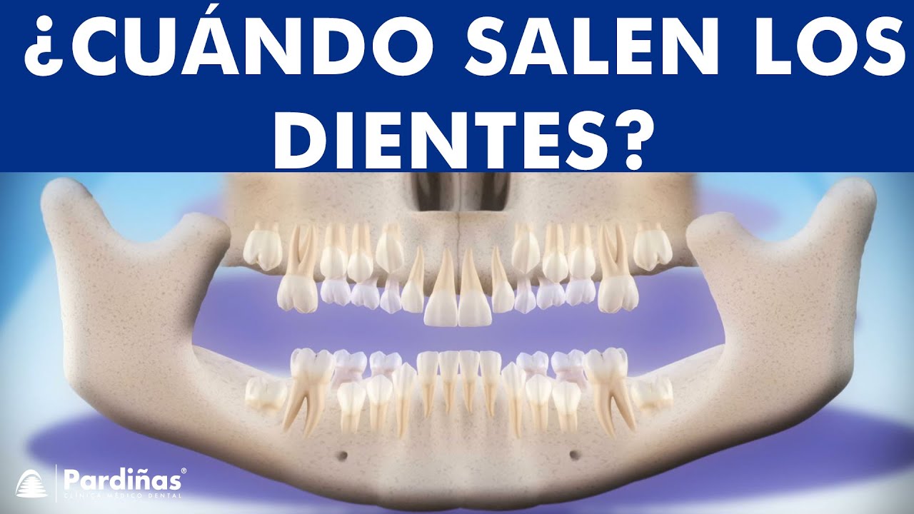 en que orden salen los dientes