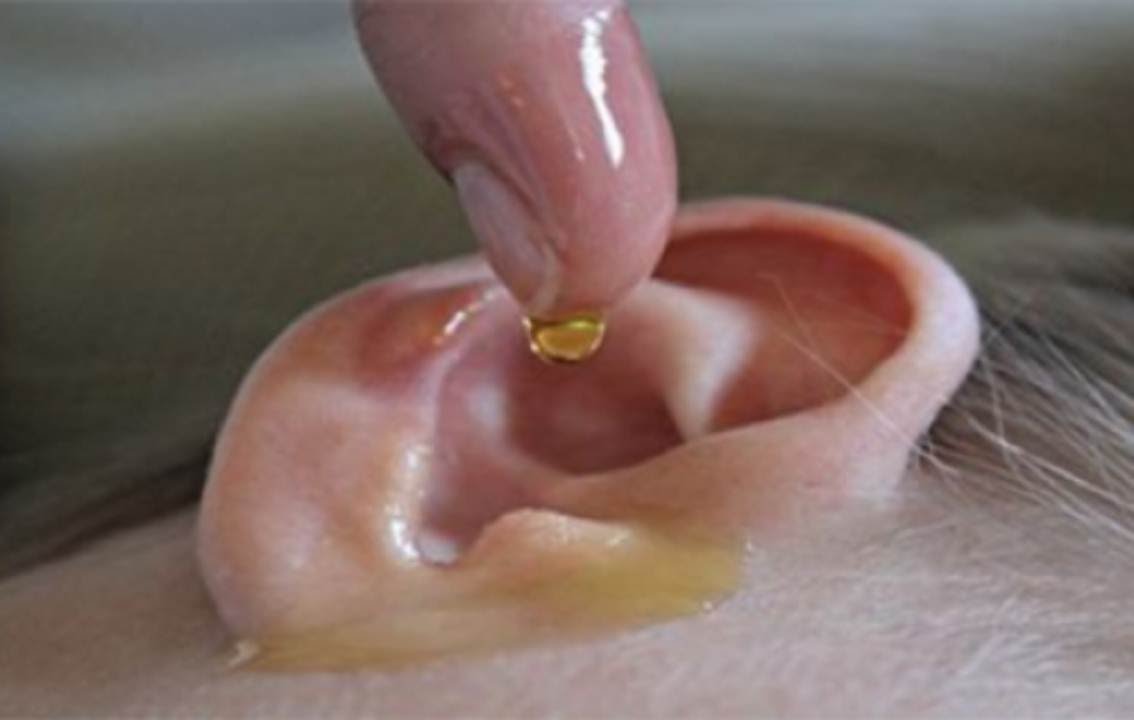 remedio casero para el dolor de oído