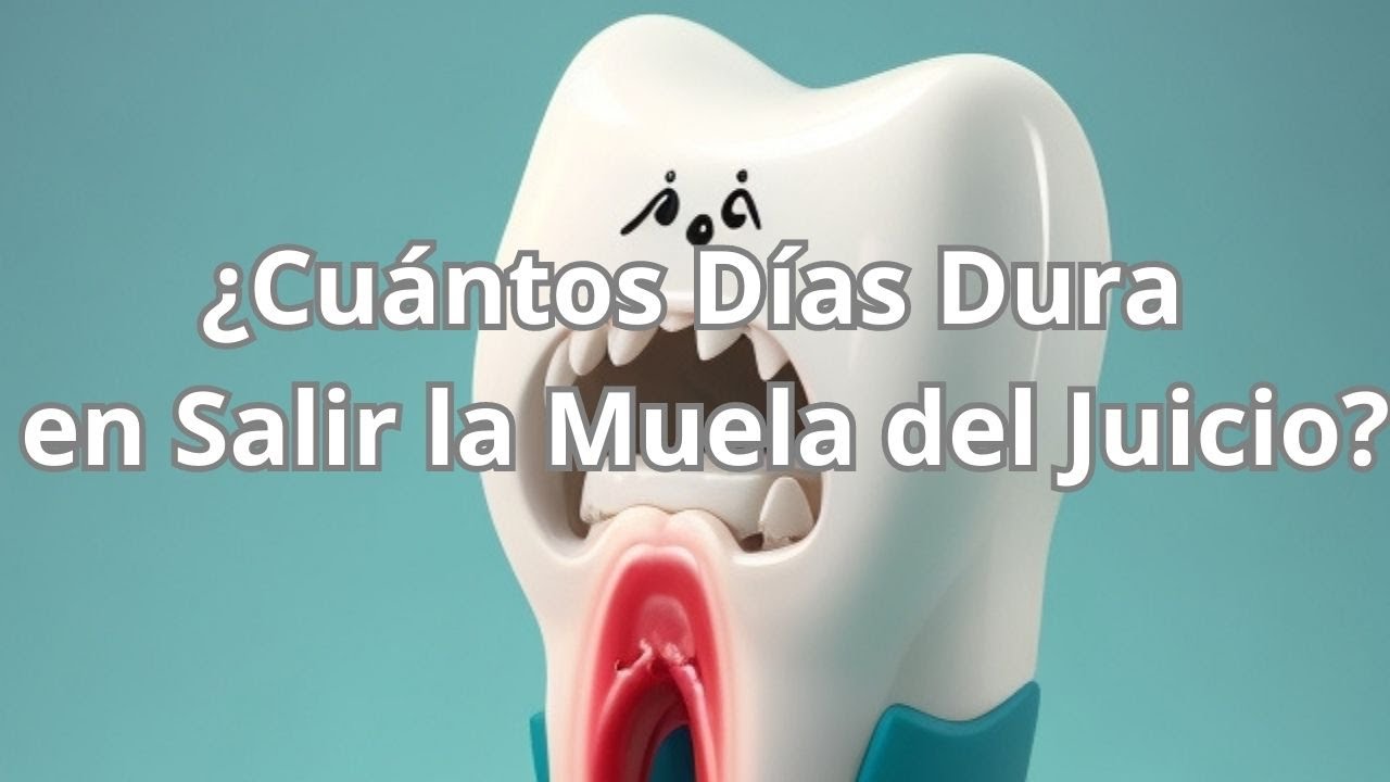 cuanto demora en salir una cordal