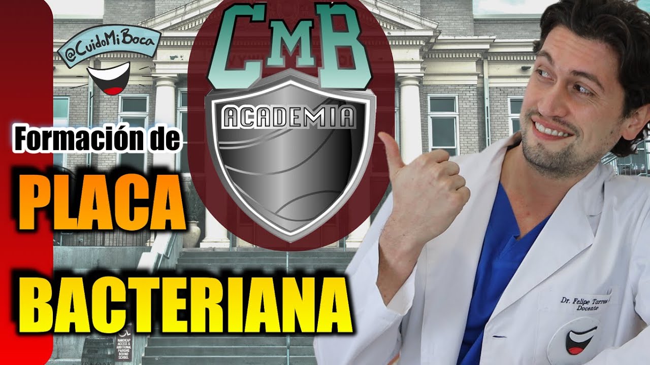 etapas de formación de la placa bacteriana