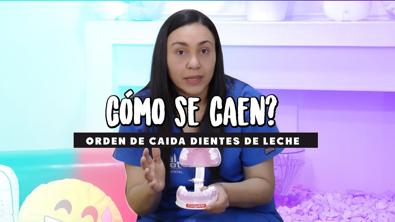 las muelas se caen y vuelven a salir