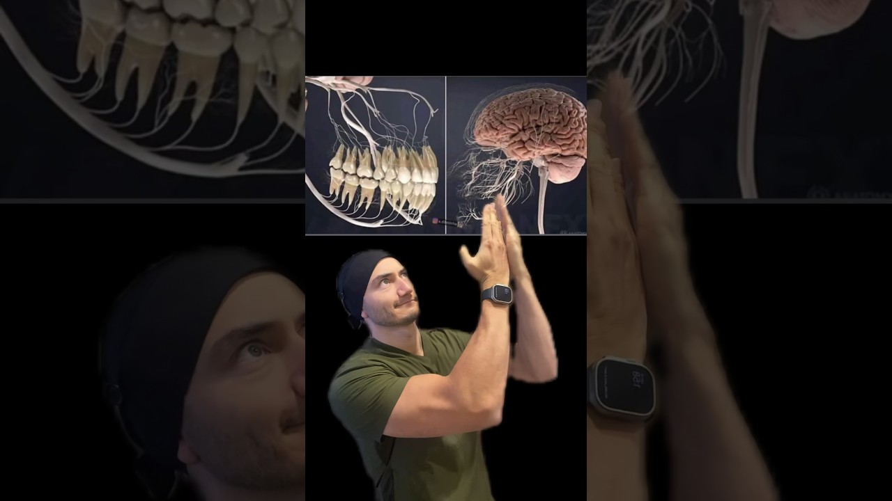 llevo 3 días con dolor de muela