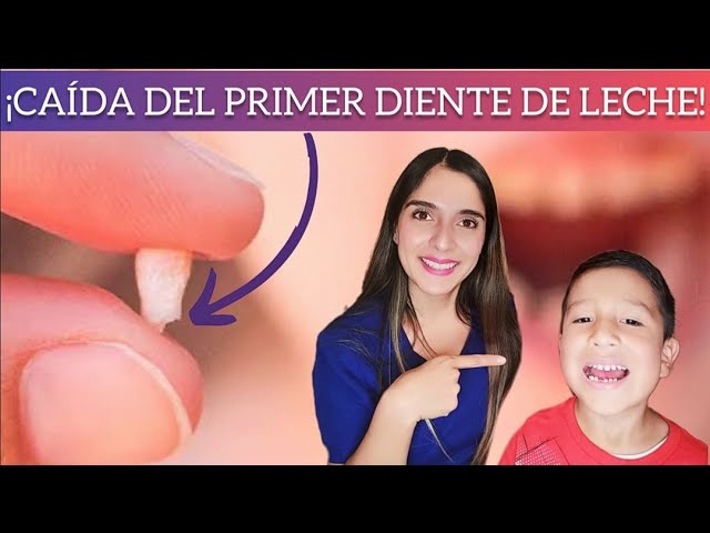 se pueden caer los dientes a los 5 años