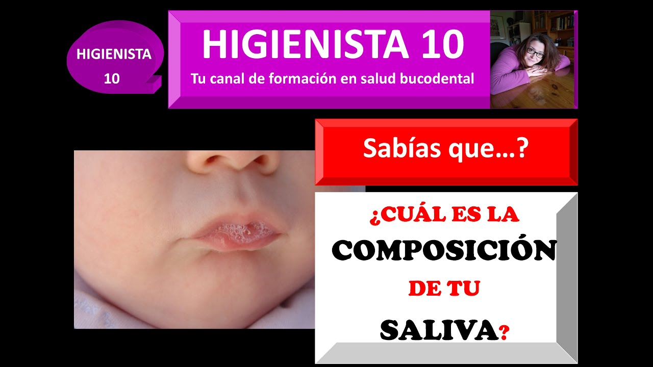 componentes de la saliva y sus funciones