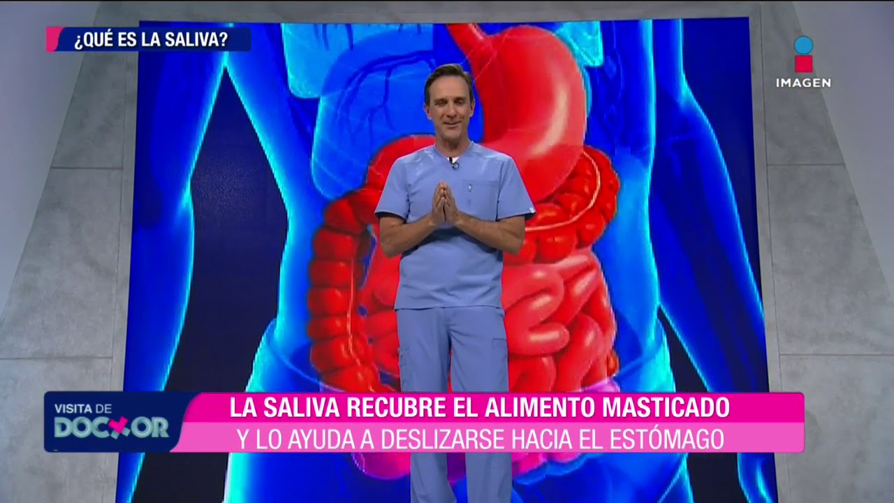cual es la función de la saliva