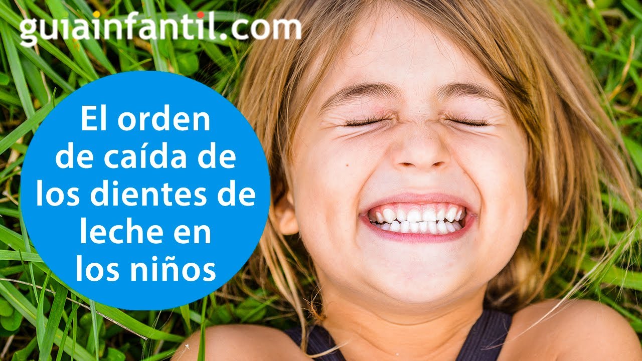 cuantas piezas dentales tiene un niño de 8 años