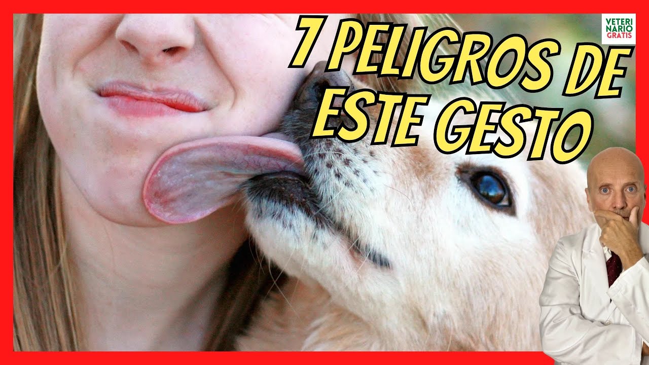 enfermedades de la lengua en perros