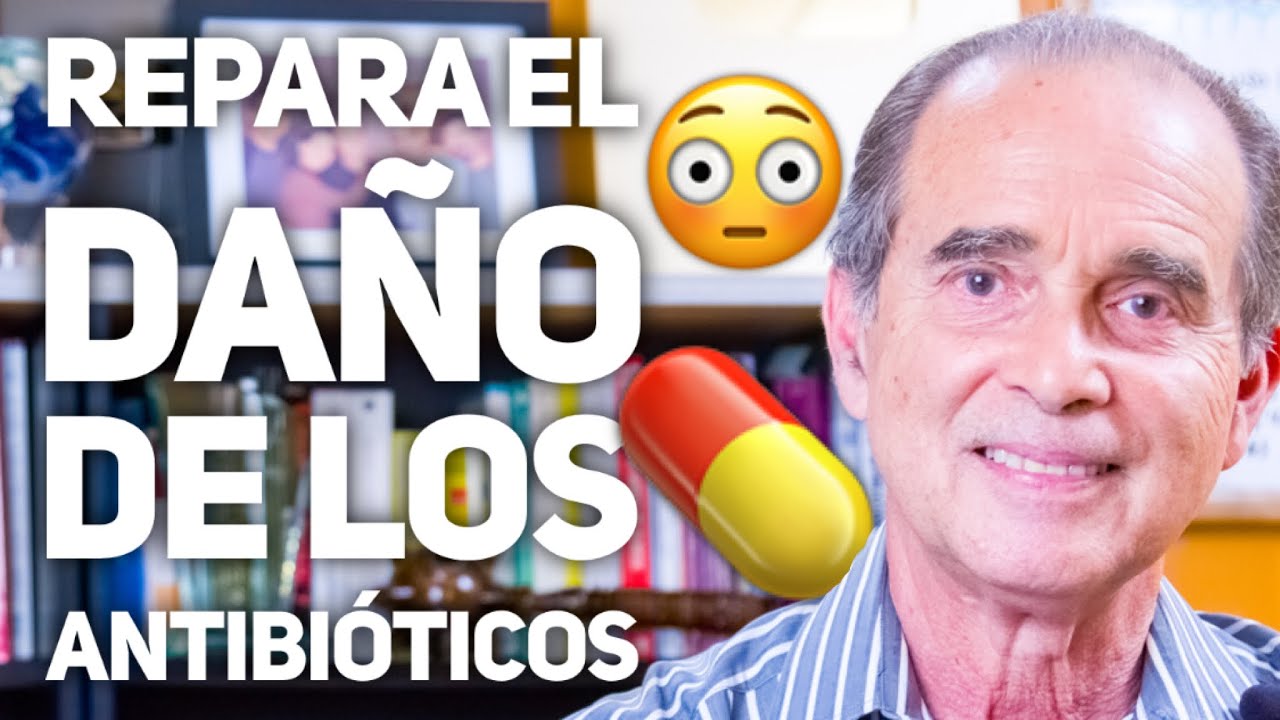 evitar bajada de defensas por antibióticos