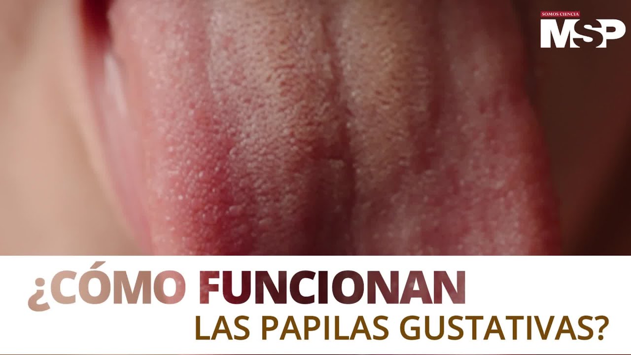 porque se inflama las papilas gustativas