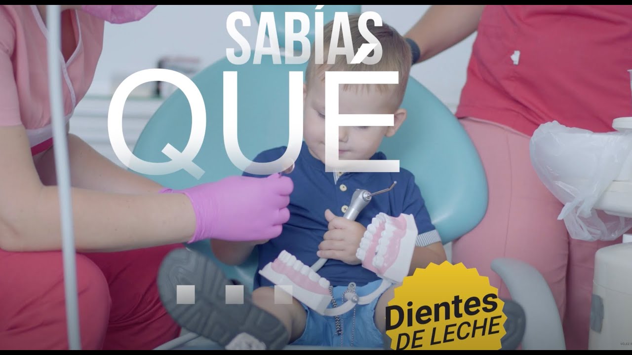 radiografia dientes de leche y definitivos