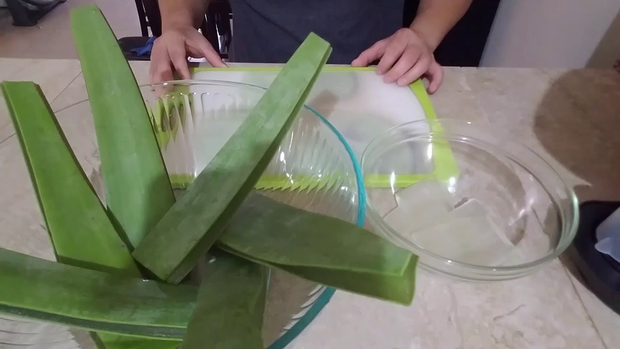 como quitar el sabor amargo de la sábila