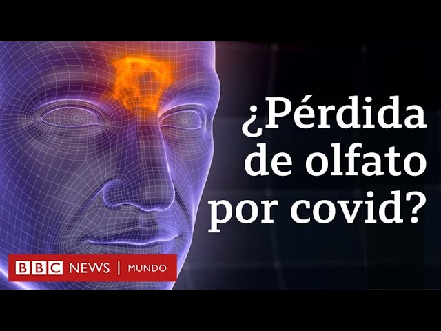 como recuperar el gusto y el olfato por resfriado