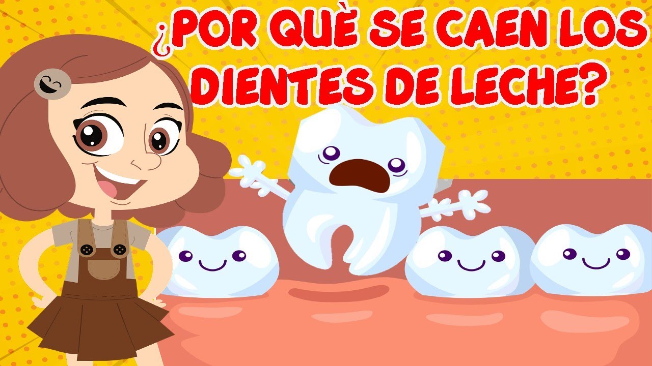 cuando se le caen los dientes a los niños