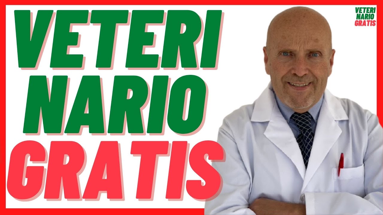 urgencias 24 horas cerca de mi