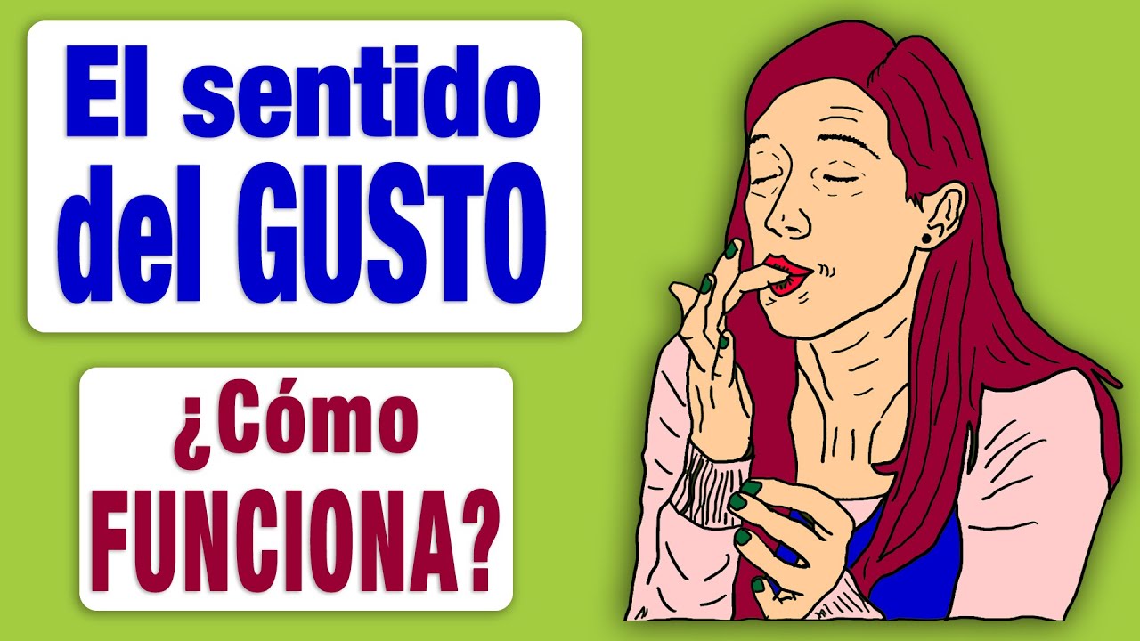 cual es la importancia del sentido del gusto