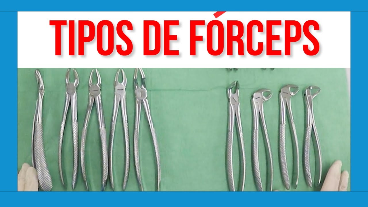 español tipos de forceps dentales con nombres