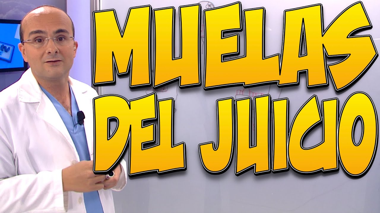 para que sirven las muelas del juicio