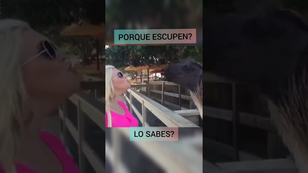 porque un hombre escupe a una mujer