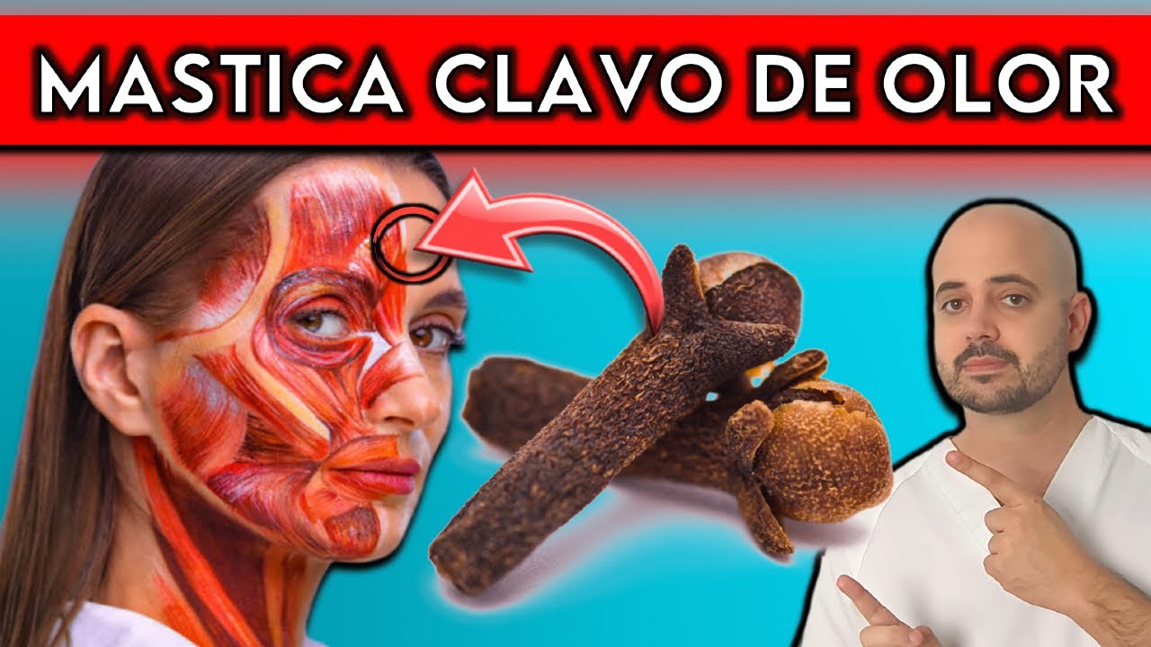 clavo de olor debajo de la lengua