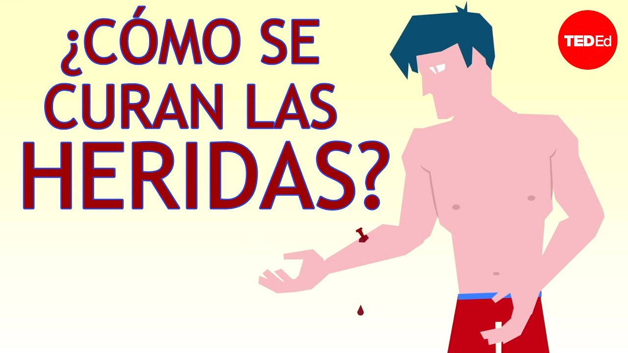 como saber que una herida esta cicatrizando bien