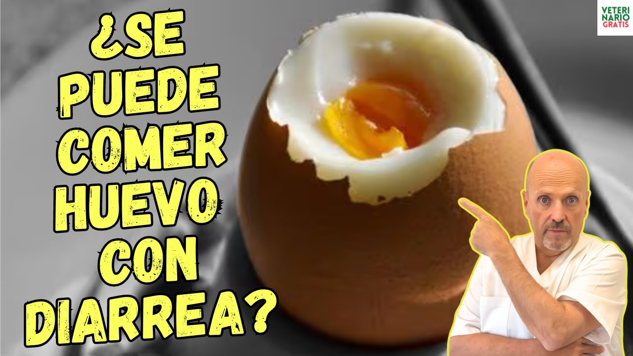el huevo cocido es bueno para la diarrea
