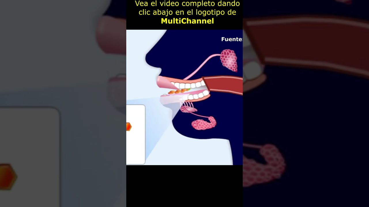 función de la saliva en la digestión