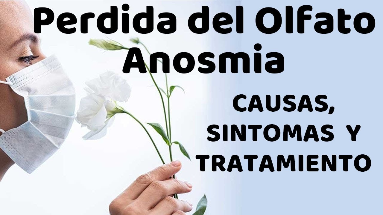 pérdida de olfato causas y tratamiento