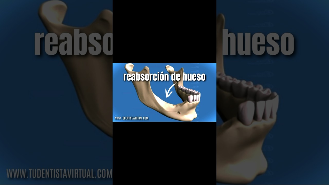 componente que se encuentra en los huesos y dientes
