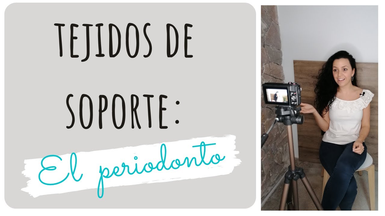 estructura de soporte de los dientes