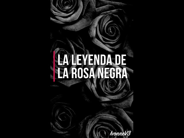 imagenes de rosas negras con sangre
